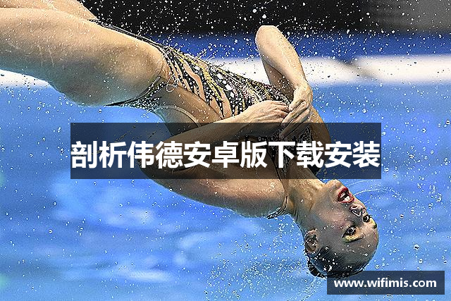 剖析伟德安卓版下载安装